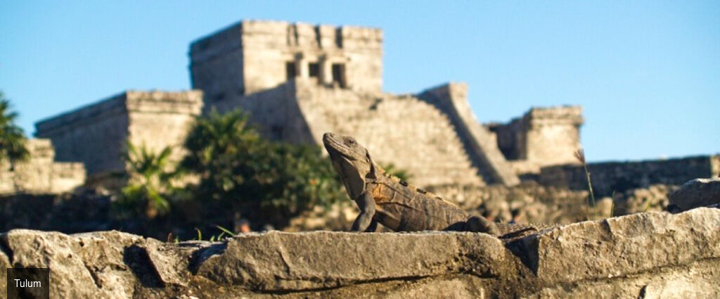 Séjour de rêve au Yucatan -  - Mexique : Cancún, Tulum, Mérida & Holbox