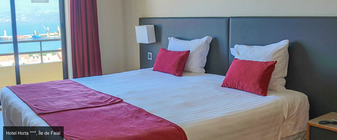 Horizons volcaniques aux Açores -  - Portugal : les Açores