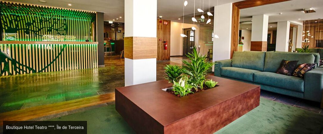 Horizons volcaniques aux Açores -  - Portugal : les Açores