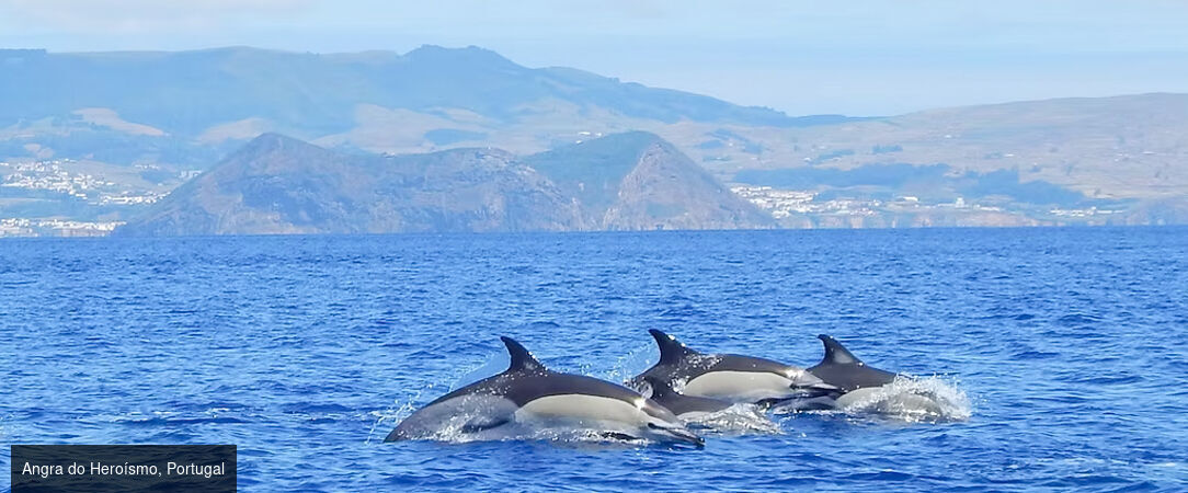 Horizons volcaniques aux Açores -  - Portugal : les Açores