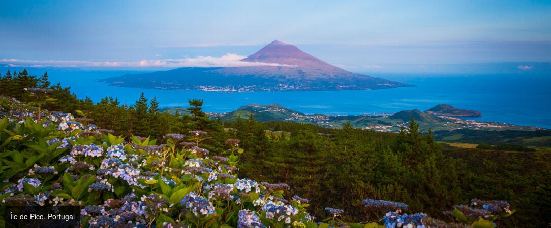 Horizons volcaniques aux Açores -  - Portugal : les Açores