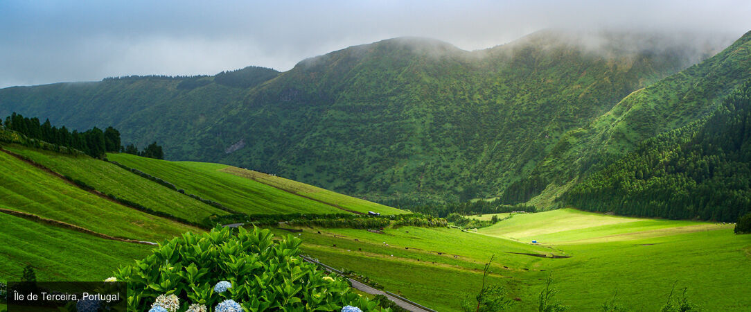 Horizons volcaniques aux Açores -  - Portugal : les Açores