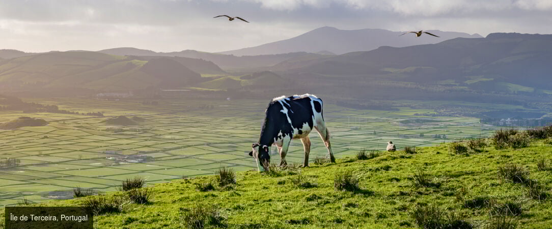 Horizons volcaniques aux Açores -  - Portugal : les Açores