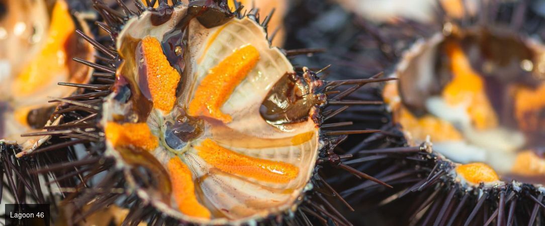 Adriatique secrète en catamaran de luxe -  - Croatie & Monténégro