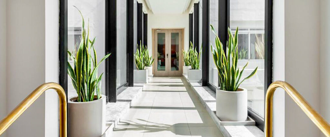 Malte & Gozo, trésors méditerranéens -  - Malte & Gozo