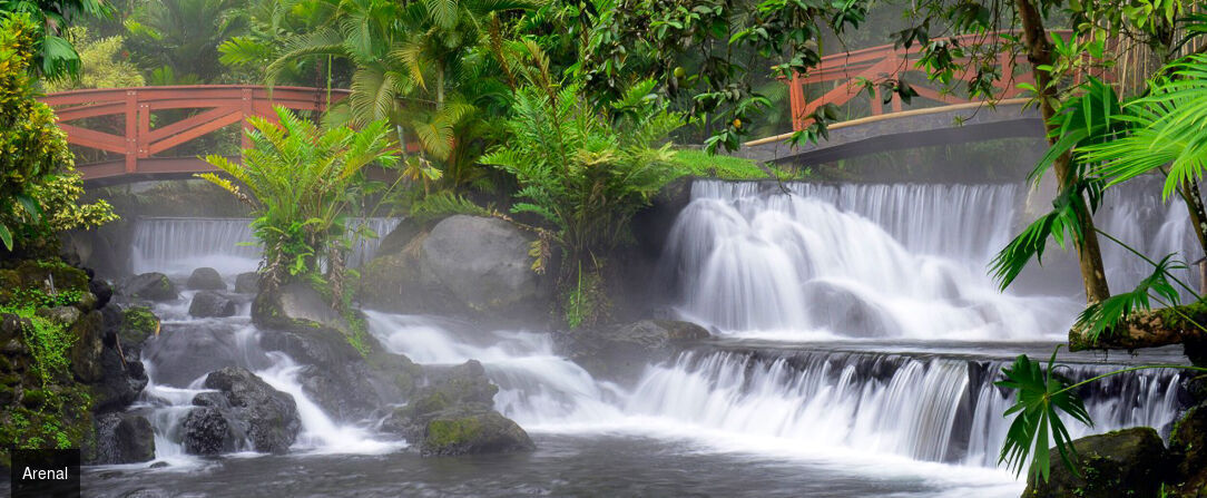 La route Pura Vida, du cœur tropical au Pacifique - Autotour de 7, 9 ou 11 nuits au Costa Rica, entre forêts luxuriantes, canaux tropicaux, volcans majestueux et plages du Pacifique. - Costa Rica : Tortuguero, Arenal & Manuel Antonio