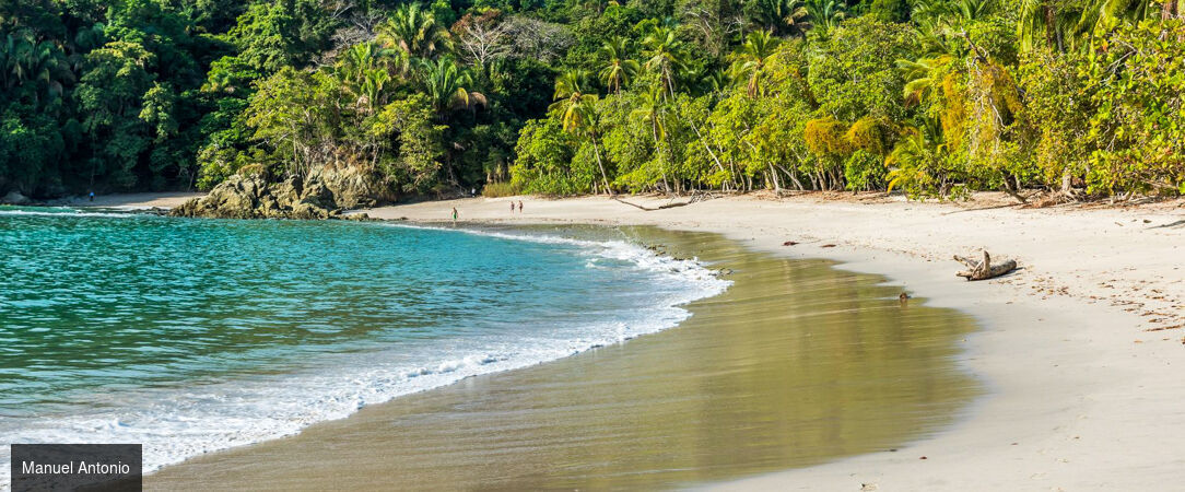 La route Pura Vida, du cœur tropical au Pacifique - Autotour de 7, 9 ou 11 nuits au Costa Rica, entre forêts luxuriantes, canaux tropicaux, volcans majestueux et plages du Pacifique. - Costa Rica : Tortuguero, Arenal & Manuel Antonio