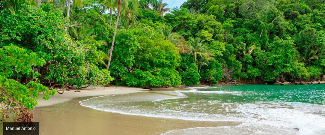 La route Pura Vida, du cœur tropical au Pacifique - Autotour de 7, 9 ou 11 nuits au Costa Rica, entre forêts luxuriantes, canaux tropicaux, volcans majestueux et plages du Pacifique. - Costa Rica : Tortuguero, Arenal & Manuel Antonio