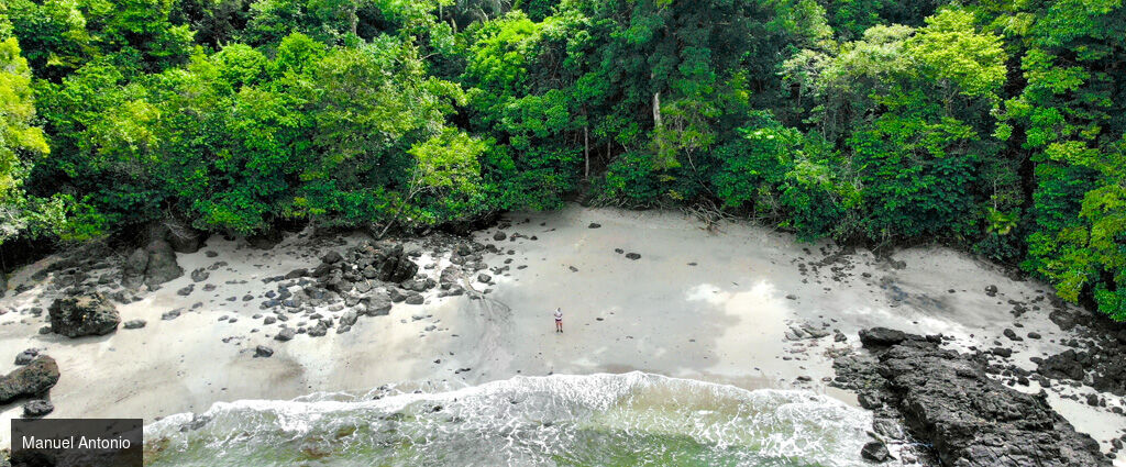 La route Pura Vida, du cœur tropical au Pacifique - Autotour de 7, 9 ou 11 nuits au Costa Rica, entre forêts luxuriantes, canaux tropicaux, volcans majestueux et plages du Pacifique. - Costa Rica : Tortuguero, Arenal & Manuel Antonio
