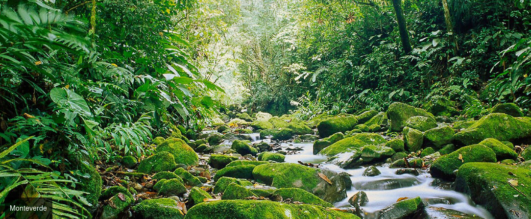La route Pura Vida, du cœur tropical au Pacifique - Autotour de 7, 9 ou 11 nuits au Costa Rica, entre forêts luxuriantes, canaux tropicaux, volcans majestueux et plages du Pacifique. - Costa Rica : Tortuguero, Arenal & Manuel Antonio