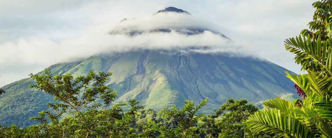 La route Pura Vida, du cœur tropical au Pacifique - Autotour de 7, 9 ou 11 nuits au Costa Rica, entre forêts luxuriantes, canaux tropicaux, volcans majestueux et plages du Pacifique. - Costa Rica : Tortuguero, Arenal & Manuel Antonio