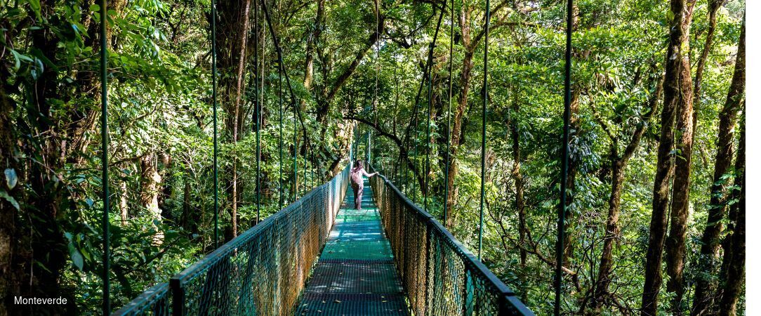 La route Pura Vida, du cœur tropical au Pacifique - Autotour de 7, 9 ou 11 nuits au Costa Rica, entre forêts luxuriantes, canaux tropicaux, volcans majestueux et plages du Pacifique. - Costa Rica : Tortuguero, Arenal & Manuel Antonio
