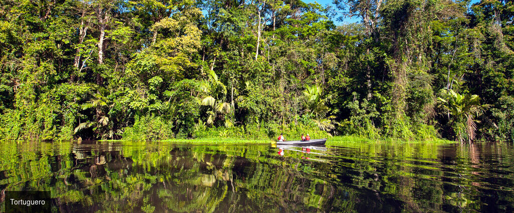 La route Pura Vida, du cœur tropical au Pacifique - Circuit de 7, 9 ou 11 nuits au Costa Rica, entre forêts luxuriantes, canaux tropicaux, volcans majestueux et plages du Pacifique. - Costa Rica : Tortuguero, Arenal & Manuel Antonio