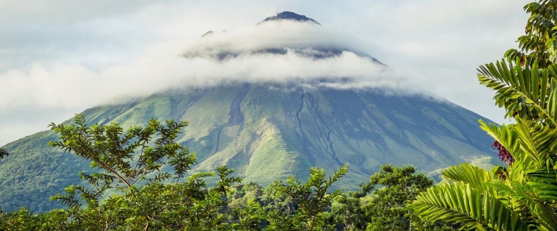 La route Pura Vida, du cœur tropical au Pacifique - Circuit de 7, 9 ou 11 nuits au Costa Rica, entre forêts luxuriantes, canaux tropicaux, volcans majestueux et plages du Pacifique. - Costa Rica : Tortuguero, Arenal & Manuel Antonio