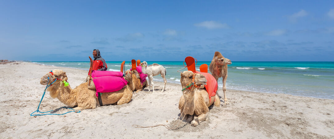 Cesar Thalasso ★★★★ - Une parenthèse de bien-être à Djerba, entre plage privée, thalassothérapie et douceur méditerranéenne. - Djerba, Tunisie