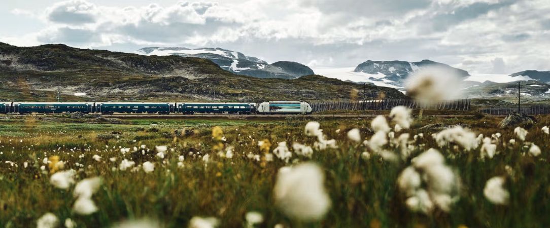 Au fil des fjords norvégiens en train et croisière - Circuit individuel de 6 nuits en Norvège, entre capitale scandinave, traversée ferroviaire spectaculaire et croisières au cœur des fjords. - Norvège : Oslo, Sognefjord & Bergen