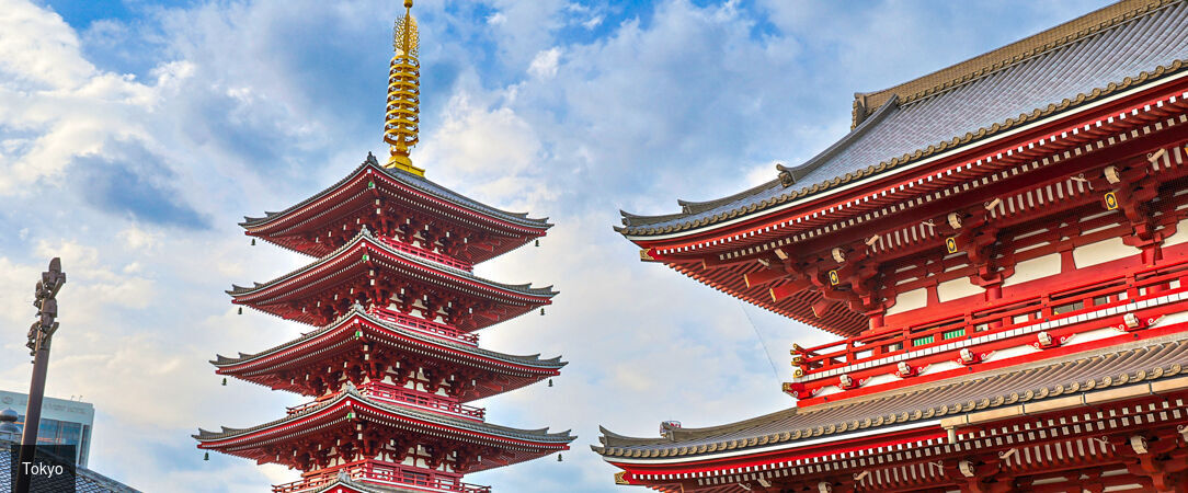 Essences du Japon entre traditions et modernité - Circuit de 10 à 12 nuits au fil des grandes régions culturelles du Japon, entre villes emblématiques, patrimoine historique et paysages contrastés. - Japon : d'Osaka à Tokyo