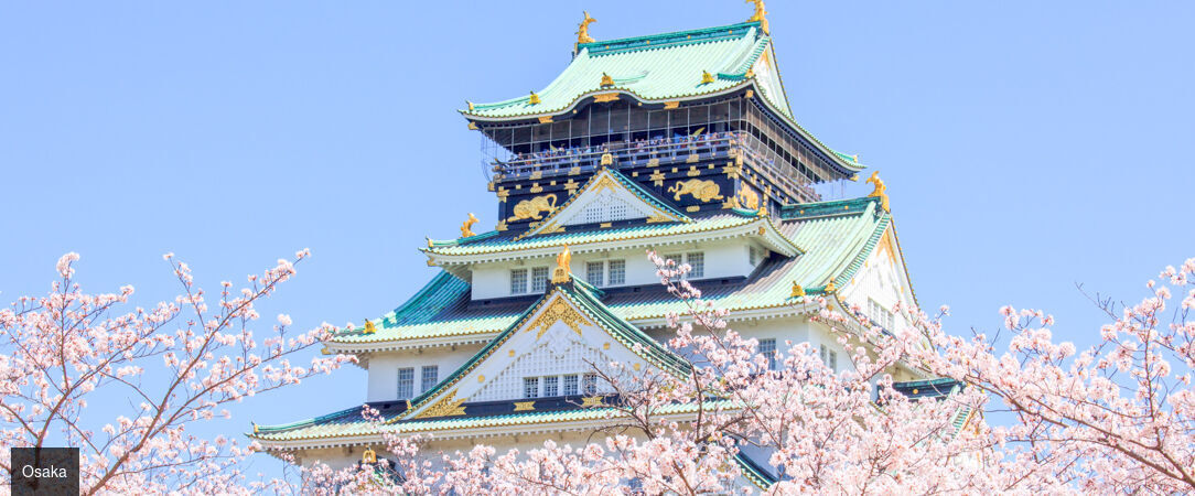 Essences du Japon entre traditions et modernité - Circuit de 10 à 12 nuits au fil des grandes régions culturelles du Japon, entre villes emblématiques, patrimoine historique et paysages contrastés. - Japon : d'Osaka à Tokyo