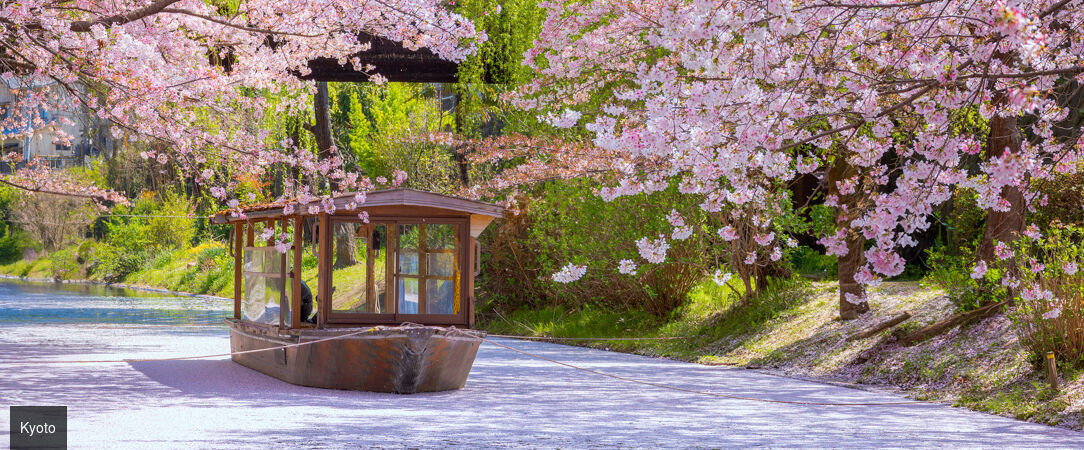 Essences du Japon entre traditions et modernité - Circuit de 10 à 12 nuits au fil des grandes régions culturelles du Japon, entre villes emblématiques, patrimoine historique et paysages contrastés. - Japon : d'Osaka à Tokyo