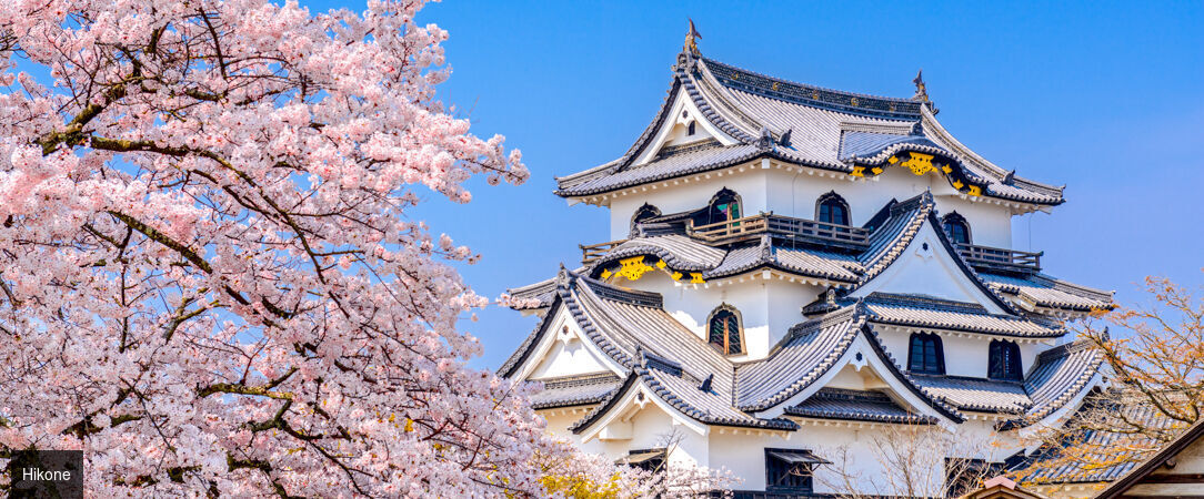 Essences du Japon entre traditions et modernité - Circuit de 10 à 12 nuits au fil des grandes régions culturelles du Japon, entre villes emblématiques, patrimoine historique et paysages contrastés. - Japon : d'Osaka à Tokyo