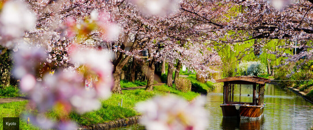 Essences du Japon entre traditions et modernité - Circuit de 10 à 12 nuits au fil des grandes régions culturelles du Japon, entre villes emblématiques, patrimoine historique et paysages contrastés. - Japon : d'Osaka à Tokyo