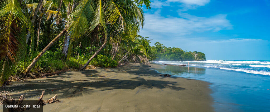 De l’essence tropicale du Costa Rica aux trésors de Bocas del Toro, au Panama - Un circuit de 12 ou 14 nuits entre le Costa Rica et le Panama, mêlant plages caraïbes, parcs nationaux emblématiques et immersion tropicale, de San José à Manuel Antonio. - Costa Rica & Panama : San José, Bocas del Toro, Manuel Antonio