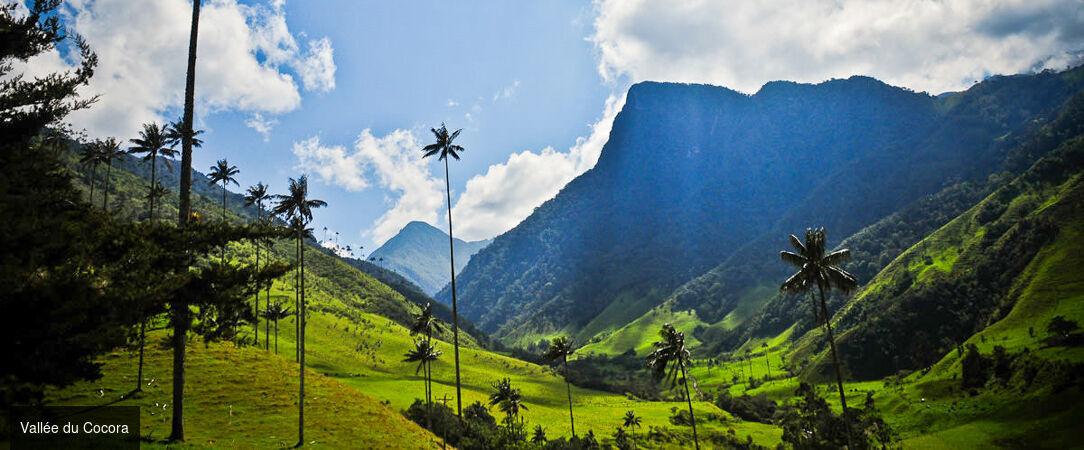 Colombie : villes, jungle et lagons - Circuit privé inoubliable de 9 ou 12 nuits à travers la Colombie, de ses villes vibrantes à ses îles paradisiaques. - Colombie : des Andes aux Caraïbes