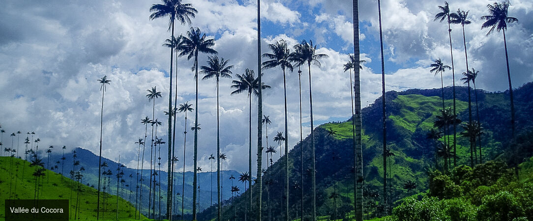 Colombie : villes, jungle et lagons - Circuit privé inoubliable de 9 ou 12 nuits à travers la Colombie, de ses villes vibrantes à ses îles paradisiaques. - Colombie : des Andes aux Caraïbes