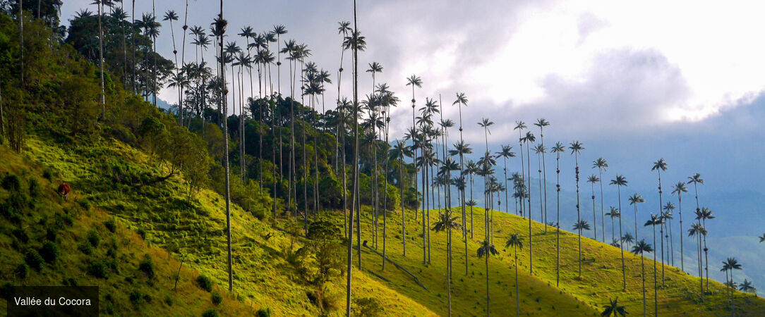 Colombie : villes, jungle et lagons - Circuit privé inoubliable de 9 ou 12 nuits à travers la Colombie, de ses villes vibrantes à ses îles paradisiaques. - Colombie : des Andes aux Caraïbes