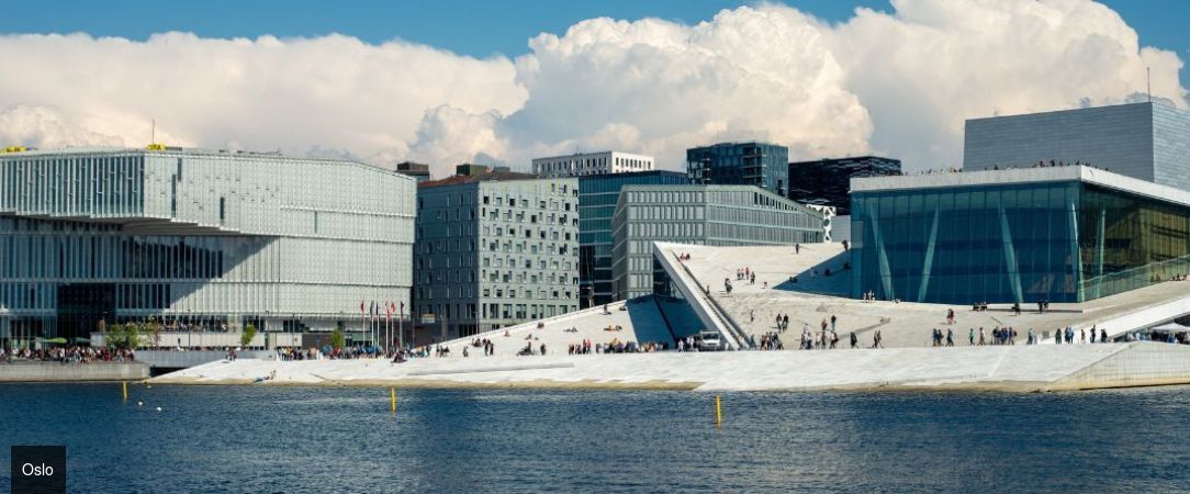 Au fil des fjords norvégiens en train et croisière -  - Norvège : Oslo, Sognefjord & Bergen