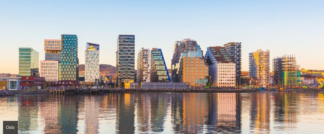 Au fil des fjords norvégiens en train et croisière -  - Norvège : Oslo, Sognefjord & Bergen