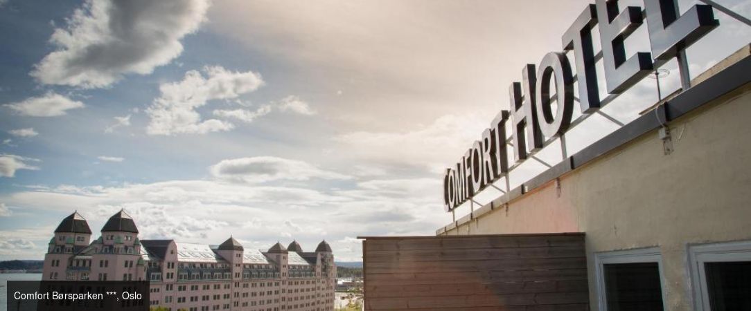 Au fil des fjords norvégiens en train et croisière -  - Norvège : Oslo, Sognefjord & Bergen