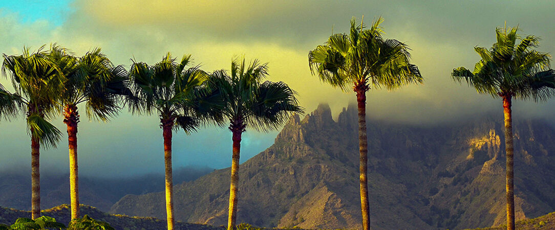 Ona Alborada - Tout le confort d’un appartement privé à Tenerife, sublimé par la douceur d’un hôtel attentionné. - Tenerife, Îles Canaries