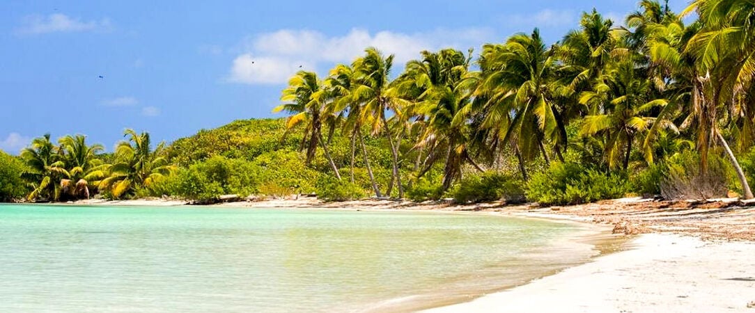 Bahia Principe Grand Tequila ★★★★★ - Adults Only - Un séjour vibrant en All Inclusive sur la Riviera Maya, entre plages caribéennes, culture mexicaine et énergie festive. - Riviera Maya, Mexique