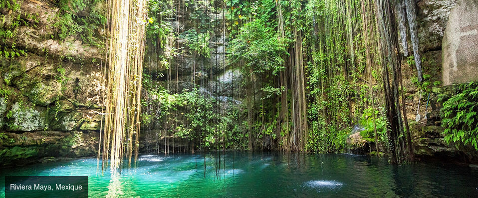 Iberostar Paraiso del Mar ★★★★★ - Repos, nature & culture les pieds dans l’eau, sur la magnifique Riviera Maya. - Riviera Maya, Mexique
