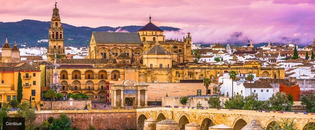 Le Train Al Andalus, joyau ferroviaire d’Espagne - Voyage en train de 6 nuits à bord de l’Al Ándalus, au fil des grandes cités historiques d’Andalousie et de Castille - Espagne : Andalousie & Castille