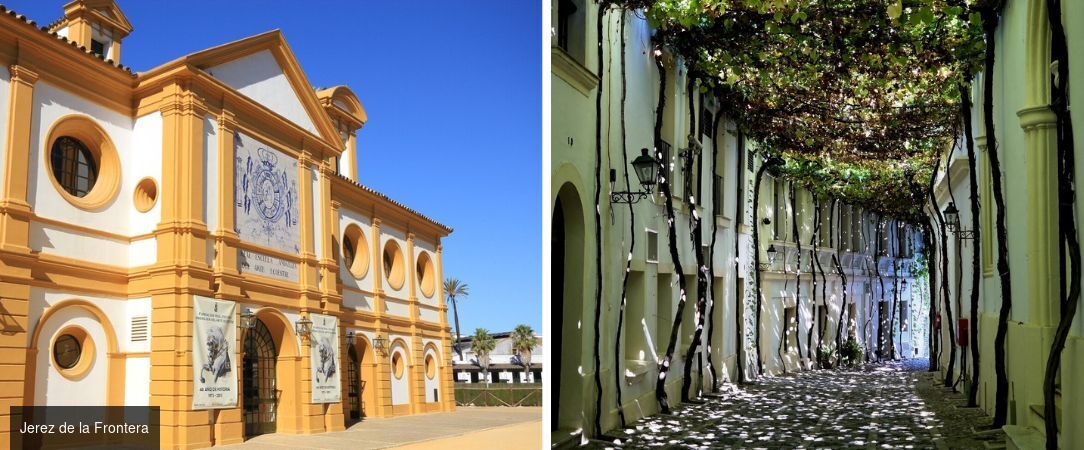 Le Train Al Andalus, joyau ferroviaire d’Espagne - Voyage en train de 6 nuits à bord de l’Al Ándalus, au fil des grandes cités historiques d’Andalousie et de Castille - Espagne : Andalousie & Castille