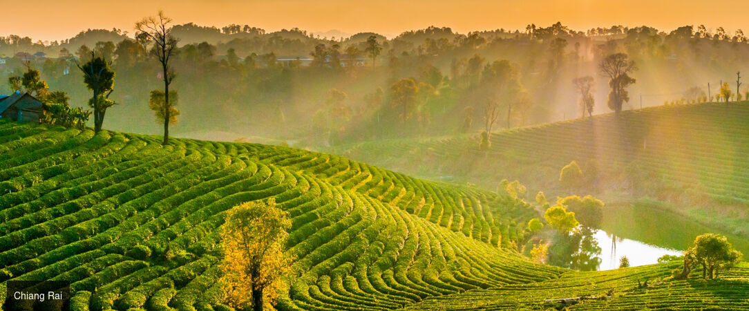 Essence de Thaïlande & rivages de Khao Lak - Circuit de 12 ou 14 nuits en Thaïlande, entre les sites majeurs du royaume, les traditions du Nord et un séjour balnéaire sur la côte de la mer d’Andaman. - Thaïlande : Bangkok, Nord & mer d’Andaman