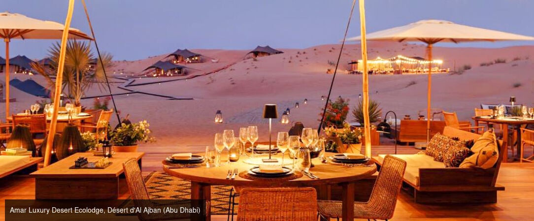 Séjour à Dubaï & nuit d’exception dans le désert -  - Émirats arabes unis : Dubaï & désert d’Al Marmoom