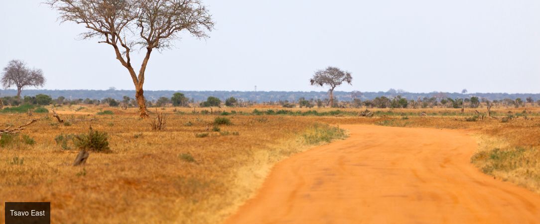 Du Parc national de Tsavo aux plages de Watamu : le Kenya en 2 temps -  - Kenya : Mombasa, Tsavo Est & Watamu