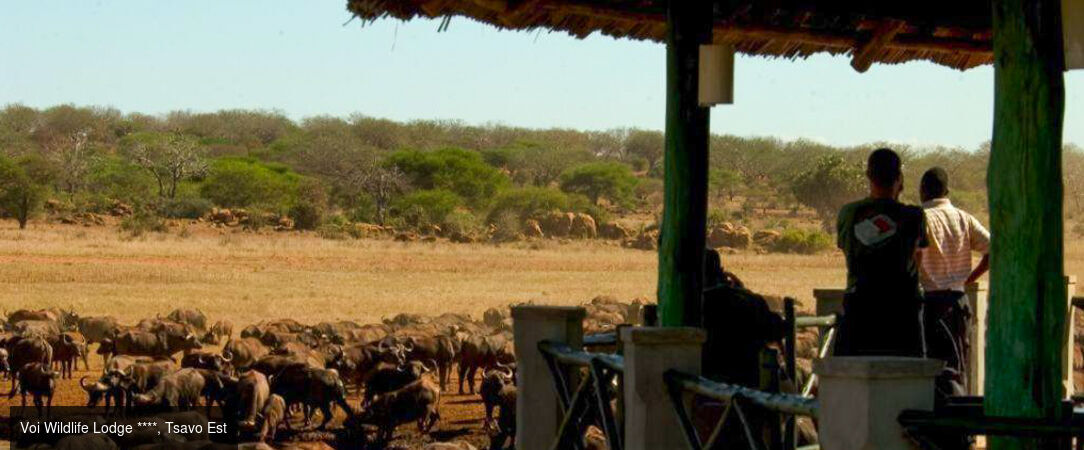 Du Parc national de Tsavo aux plages de Watamu : le Kenya en 2 temps -  - Kenya : Mombasa, Tsavo Est & Watamu