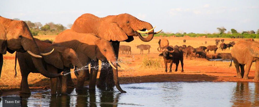 Du Parc national de Tsavo aux plages de Watamu : le Kenya en 2 temps -  - Kenya : Mombasa, Tsavo Est & Watamu