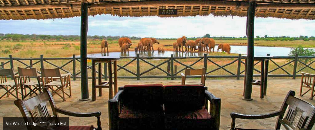 Du Parc national de Tsavo aux plages de Watamu : le Kenya en 2 temps -  - Kenya : Mombasa, Tsavo Est & Watamu