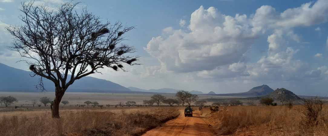 Du Parc national de Tsavo aux plages de Watamu : le Kenya en 2 temps -  - Kenya : Mombasa, Tsavo Est & Watamu