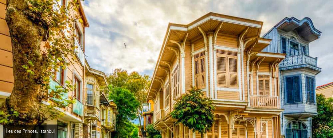 Échappée stambouliote, entre héritage et art de vivre - Circuit privatif de 4 à 6 nuits à Istanbul, entre grands sites historiques, quartiers emblématiques et temps libres pour savourer l’art de vivre stambouliote. - Turquie : Istanbul & Büyükada