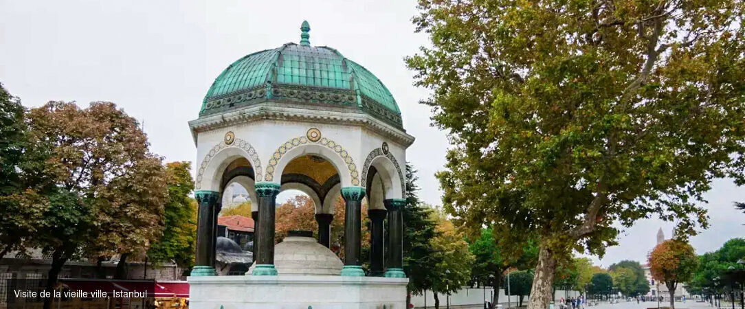 Échappée stambouliote, entre héritage et art de vivre - Circuit privatif de 4 à 6 nuits à Istanbul, entre grands sites historiques, quartiers emblématiques et temps libres pour savourer l’art de vivre stambouliote. - Turquie : Istanbul & Büyükada