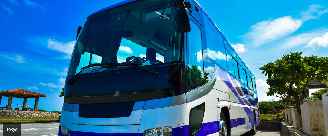 Essences du Japon entre traditions et modernité -  - Japon : Osaka, Kyoto, Tokyo