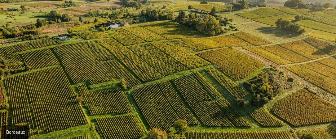 Croisière au cœur de Bordeaux et sa région - Croisière de 5 nuits au fil de la Garonne et de la Dordogne, entre citadelles classées, bastides médiévales et vignobles d’exception. - France : Bordeaux et vallée de la Gironde