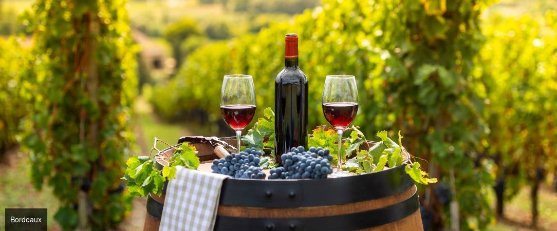 Croisière au cœur de Bordeaux et sa région - Croisière de 5 nuits au fil de la Garonne et de la Dordogne, entre citadelles classées, bastides médiévales et vignobles d’exception. - France : Bordeaux et vallée de la Gironde