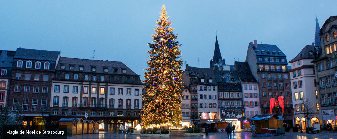 Magie de Noël, saveurs et traditions de l’Avent sur le Rhin - Croisière de 4 nuits sur le Rhin romantique à la découverte des plus beaux marchés de Noël, de Strasbourg à Rüdesheim et Mayence. - France & Allemagne : Rhin romantique, Rüdesheim & Mayence